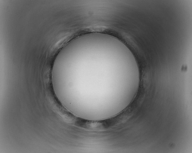 X0000113620501200910091535