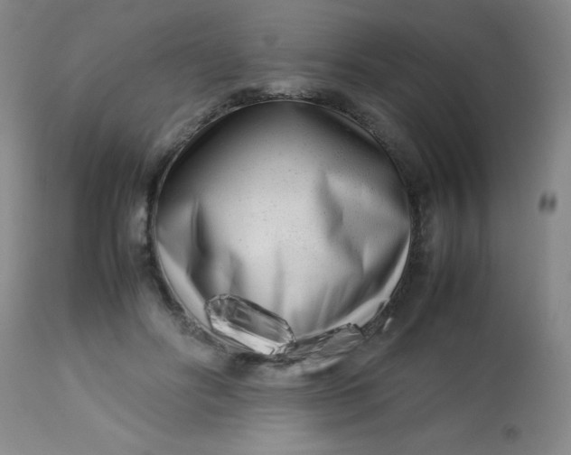 X0000113620502200910091535