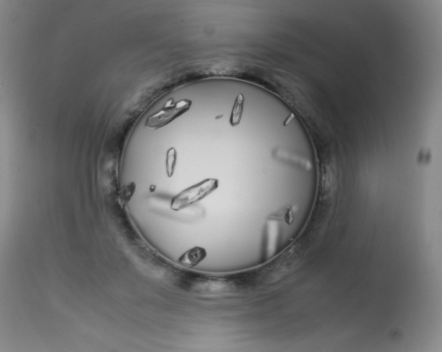 X0000113620503200910091535
