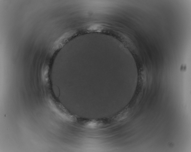 X0000113620504200910091535