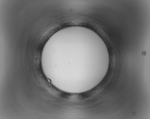 X0000113620505200910091535