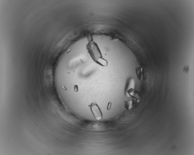 X0000113620506200910091535