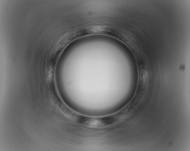 X0000113620507200910091535