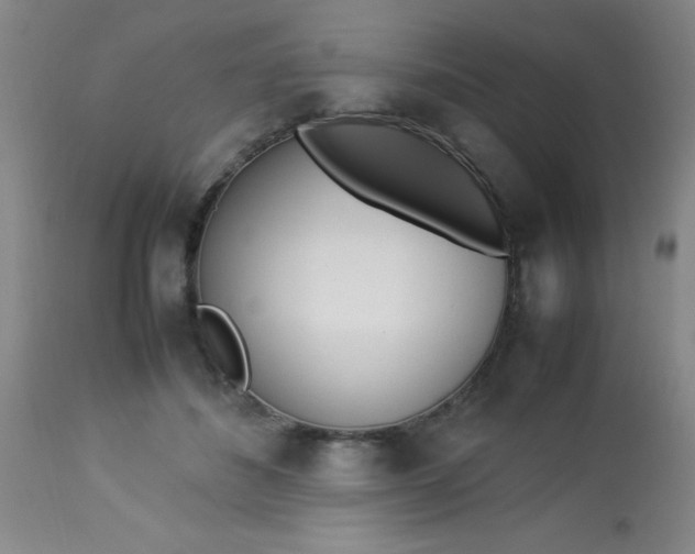 X0000113620508200910091535