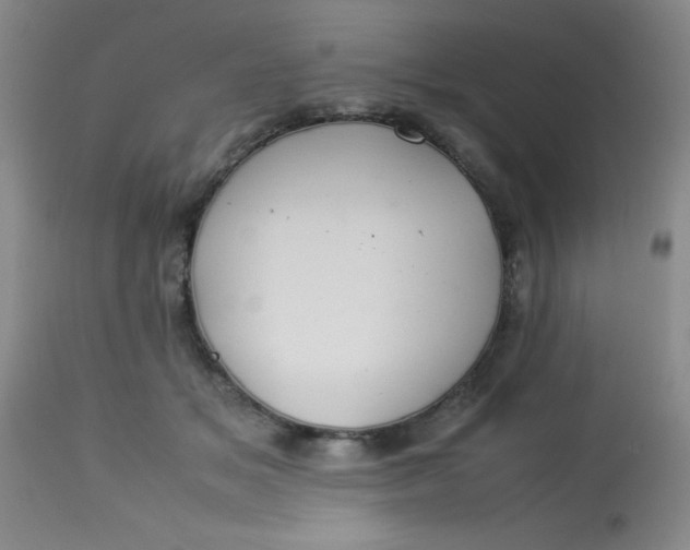 X0000113620509200910091534
