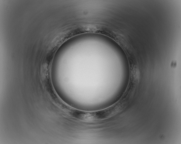 X0000113620511200910091534