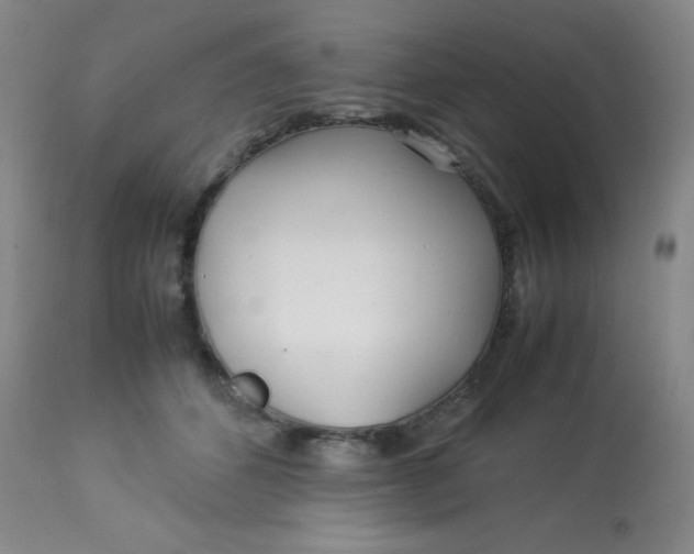 X0000113620512200910091534
