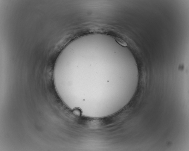X0000113620513200910091534