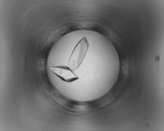 X0000113620514200910091534