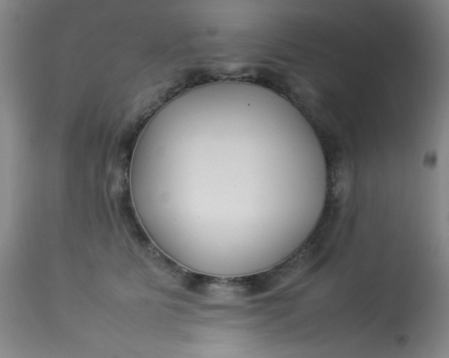 X0000113620515200910091534