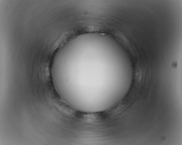 X0000113620516200910091534