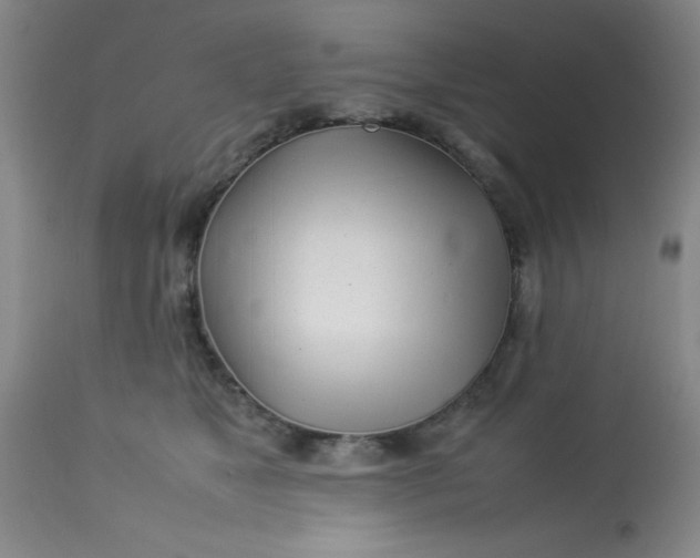 X0000113620517200910091534