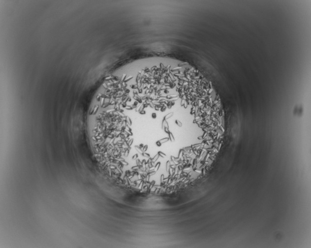 X0000113620518200910091534