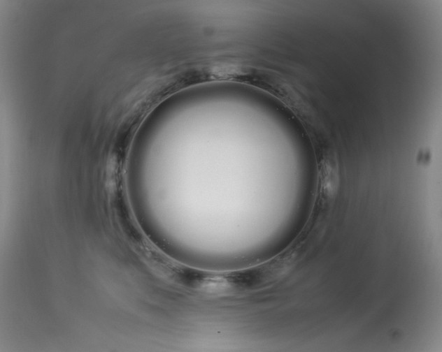 X0000113620519200910091534