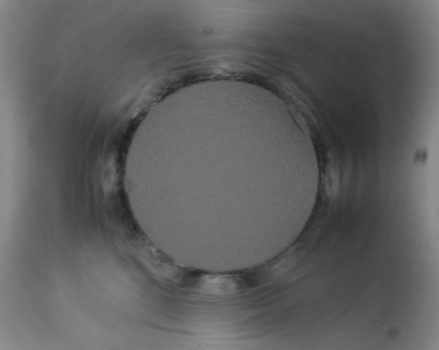X0000113620520200910091534