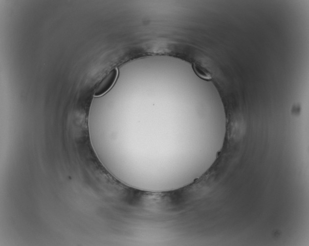X0000113620521200910091534