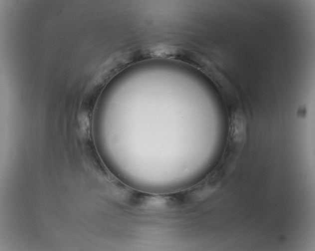 X0000113620523200910091534
