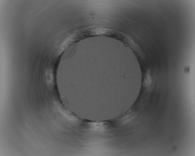 X0000113620524200910091534