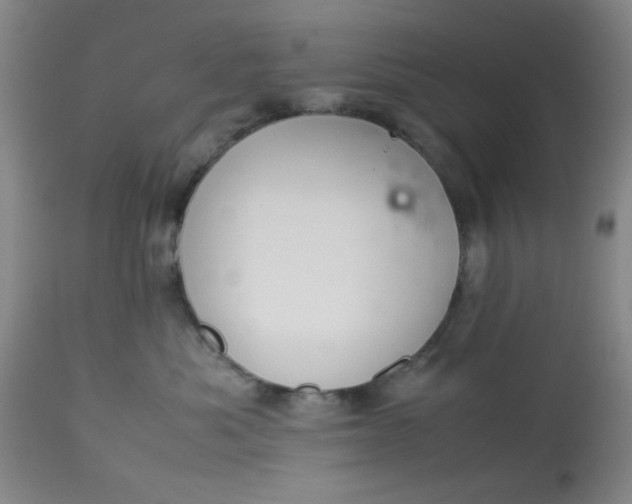 X0000113620525200910091534