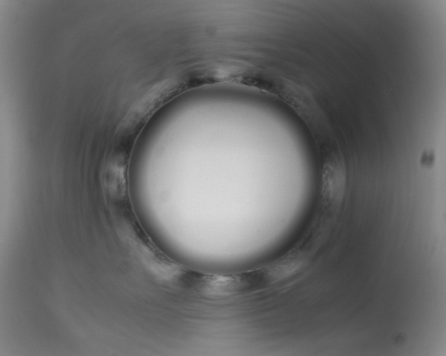 X0000113620527200910091534