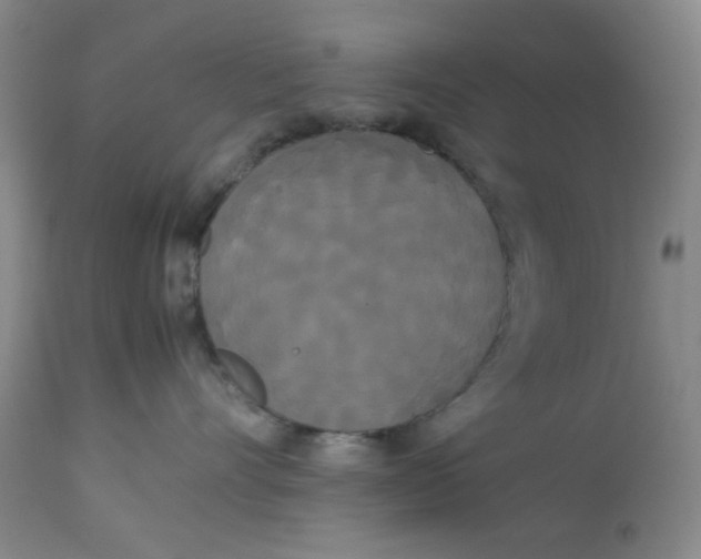 X0000113620528200910091534