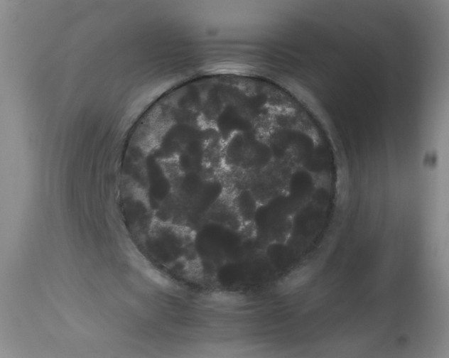 X0000113620529200910091533