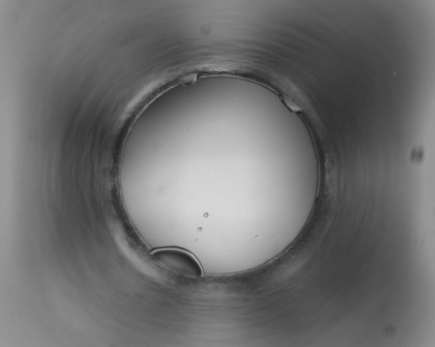 X0000113620530200910091533