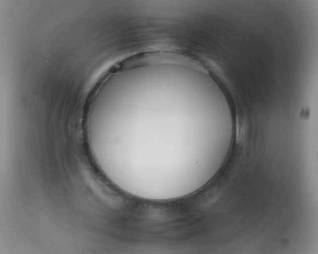 X0000113620531200910091533