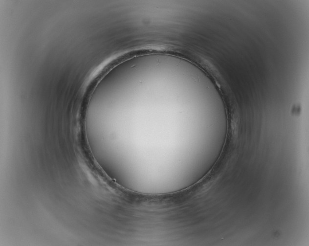 X0000113620532200910091534