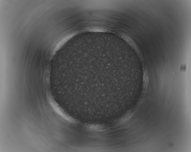 X0000113620533200910091534