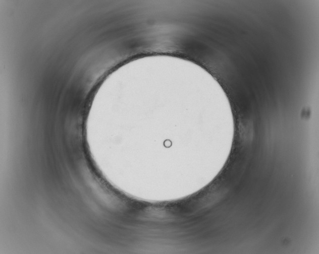 X0000113620534200910091534