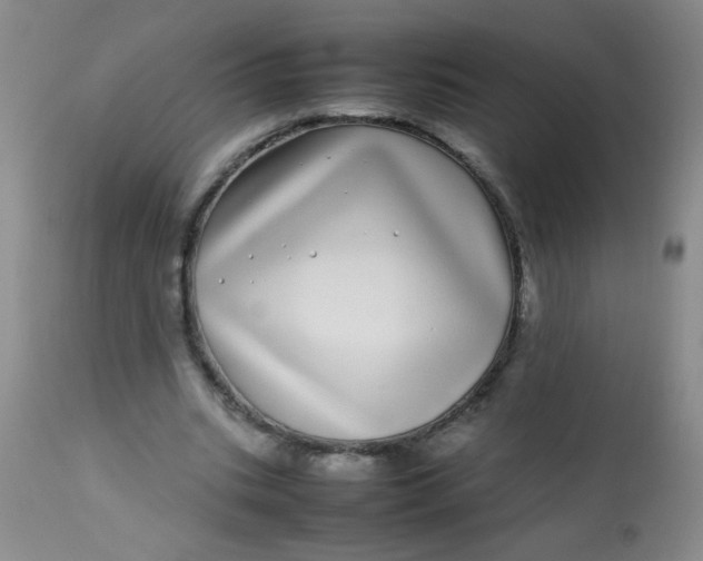 X0000113620535200910091534