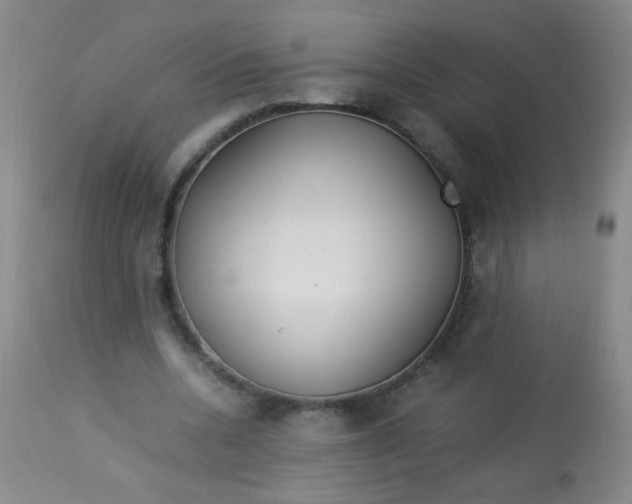 X0000113620536200910091534