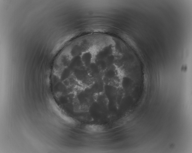 X0000113620537200910091534