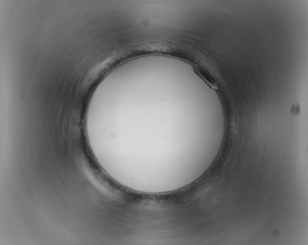 X0000113620538200910091534