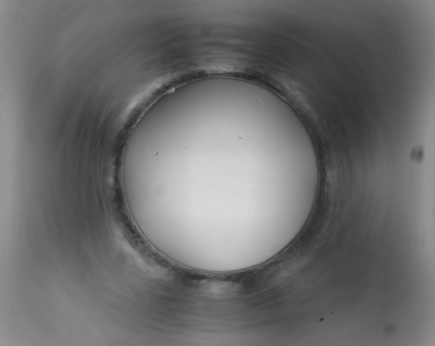 X0000113620539200910091534