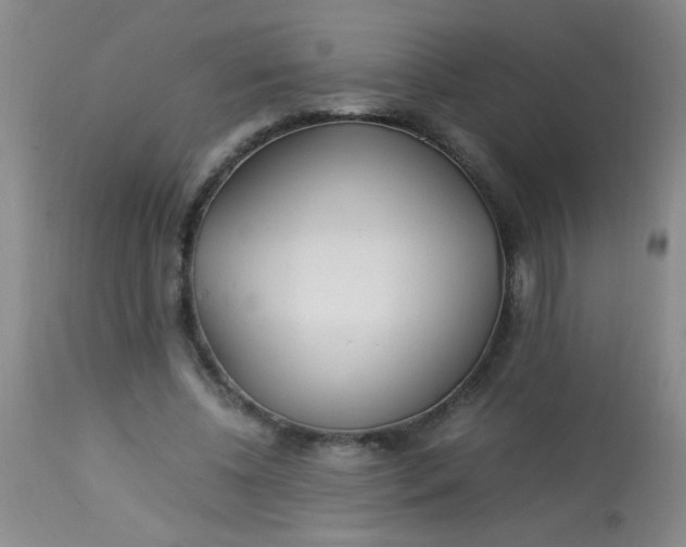 X0000113620540200910091534