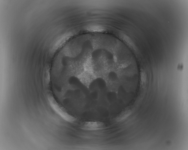 X0000113620541200910091534