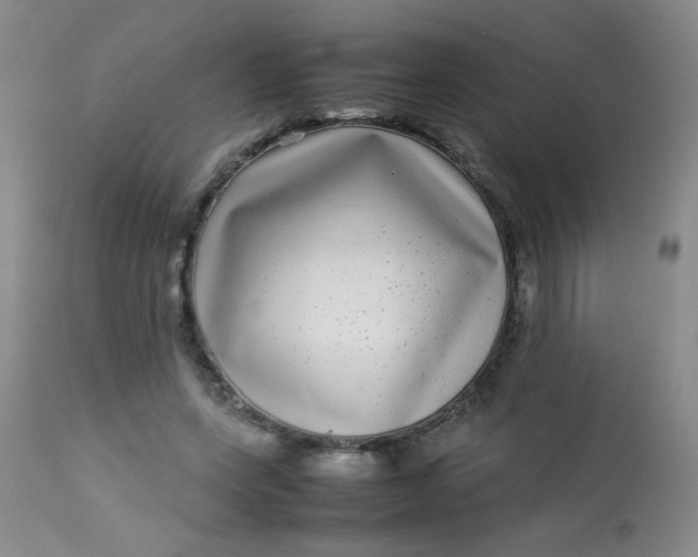 X0000113620543200910091534