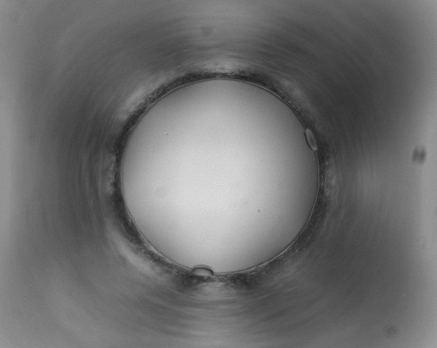 X0000113620544200910091534