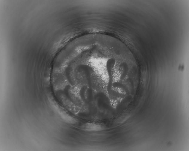 X0000113620545200910091534