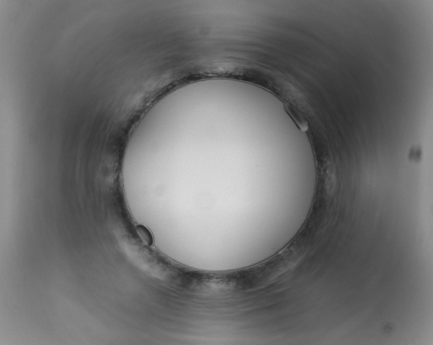 X0000113620546200910091534
