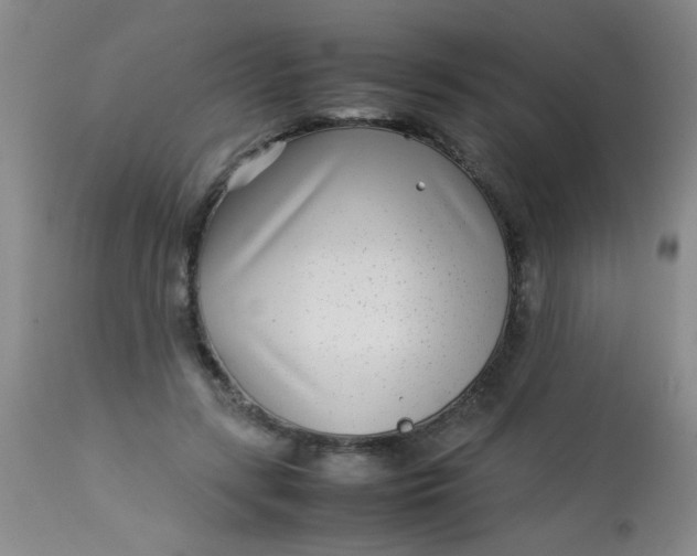 X0000113620547200910091534