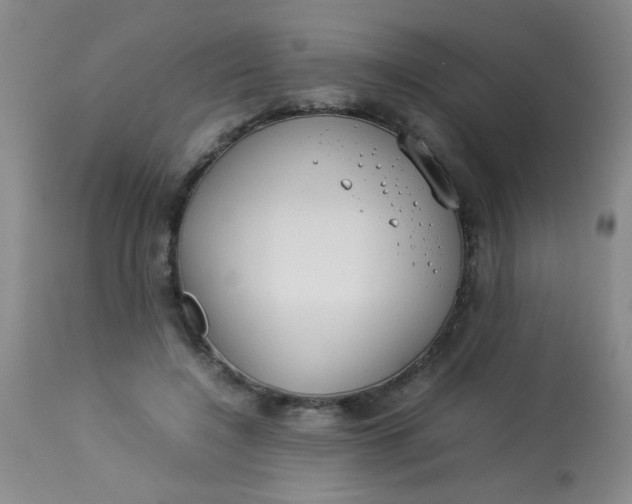 X0000113620548200910091534