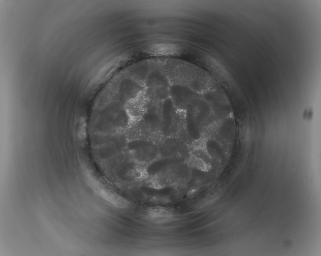 X0000113620549200910091534