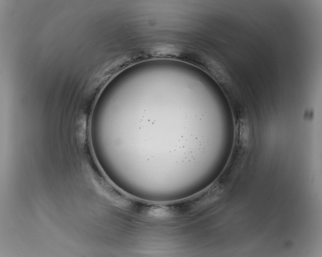 X0000113620550200910091534