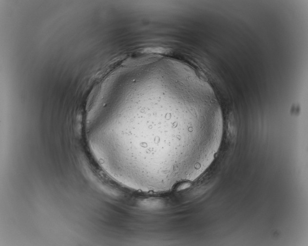 X0000113620551200910091534