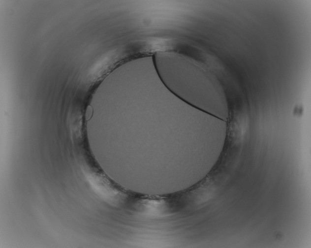 X0000113620552200910091534