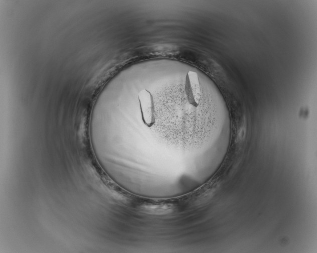 X0000113620553200910091534