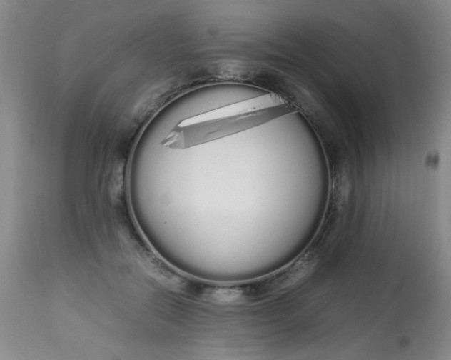 X0000113620554200910091534